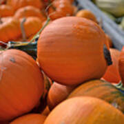 Pumpkin Harvest Art Print