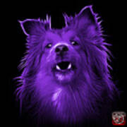 Purple Sheltie Dog Art 0207 - Bb Art Print