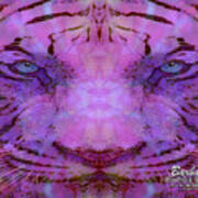 Purple Tiger Art Print
