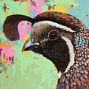 Quail Art Print