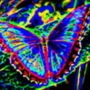 Quantum Butterfly Art Print