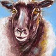 Quirky Sheep Paintings Art Print