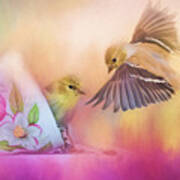 Raiding The Teacup - Songbird Art Art Print