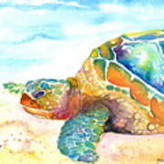 Rainbow Sea Turtle Art Print