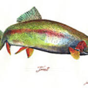 Rainbow Trout Art Print