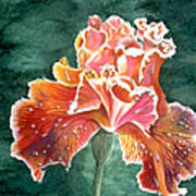 Raindrop Iris Art Print
