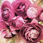 Ranunculus Bloom Art Print