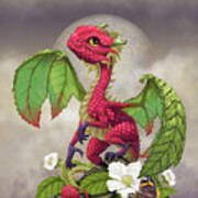 Raspberry Dragon Art Print