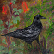 Raven In Columbine Art Print