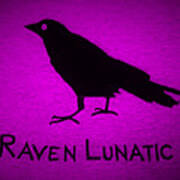 Raven Lunatic Purple Art Print