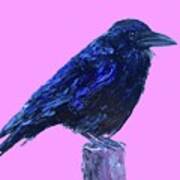 Raven On Pink Background Art Print