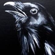 Raven Warning Art Print