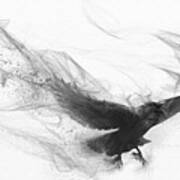Raven's Flight Art Print