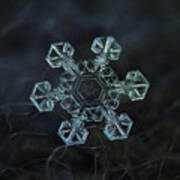 Real Snowflake - Ice Crown New Art Print