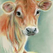 Red Calf Portrait Art Print