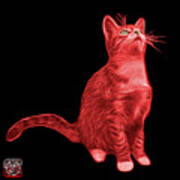 aflivning Skylight Huddle Red Cat Art - 3771 BB Painting by James Ahn - Pixels