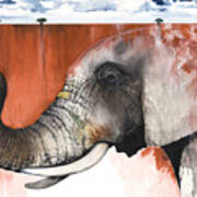 Red Elephant Art Print