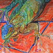 Red Eye Iguana Art Print