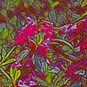 Red Flowers, Stems, Green Foliage Art Print