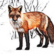 Red Fox Digital Painting Art Print