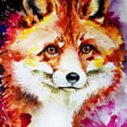 Red Fox Art Print