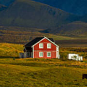 Red House And Horses - Iceland Art Print