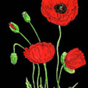 Red Poppy Flowers Watercolour Art Print