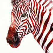 Red Rodney Zebra Art Print