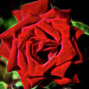 Red Rose 1a Art Print
