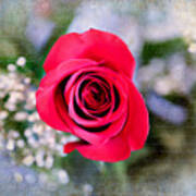 Red Rose Elegance Art Print