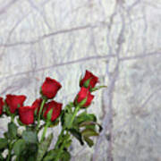 Red Rose Flowers Art Print