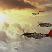 Red Tails Art Print