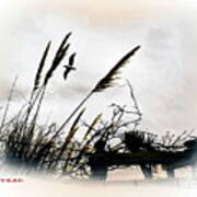 Reeds And Sea Art Print