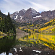 Reflections And Aspen Trees Art Print