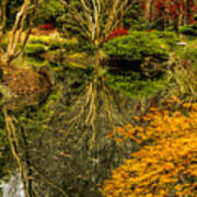 Reflections At Japanese Gardens Art Print