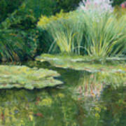 Reflections On Monets Lily Pond Art Print