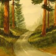 Remembering Redwoods Art Print