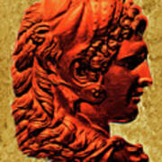 Reverse Profile Of Alexander Art Print
