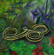 Ribbon Snake Art Print