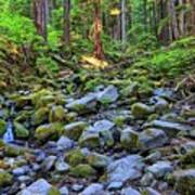 Riverbed Full Of Mossy Stones With Small Cascade Art Print