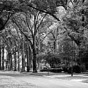 Road In Black And White Art Print