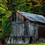 Roadside Barn Art Print