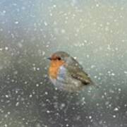 Robin In Winter Art Print