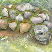 Rock Turtle Art Print