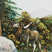 Rocky Mountain Moose Art Print