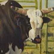 Rodeo Bull 4 Art Print