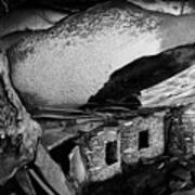 Roof Falling In Ruin Utah Monochrome Art Print