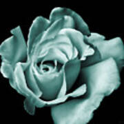 Rose Flower In Teal Green Art Print