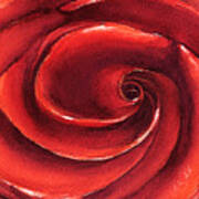 Rose In Stone Art Print