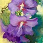 Rose Of Sharon Art Print